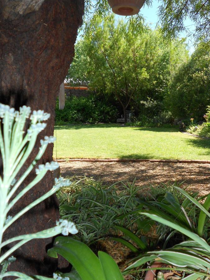 Pane Vivente Garden Cottage Б’юфорт-Вест Екстер'єр фото